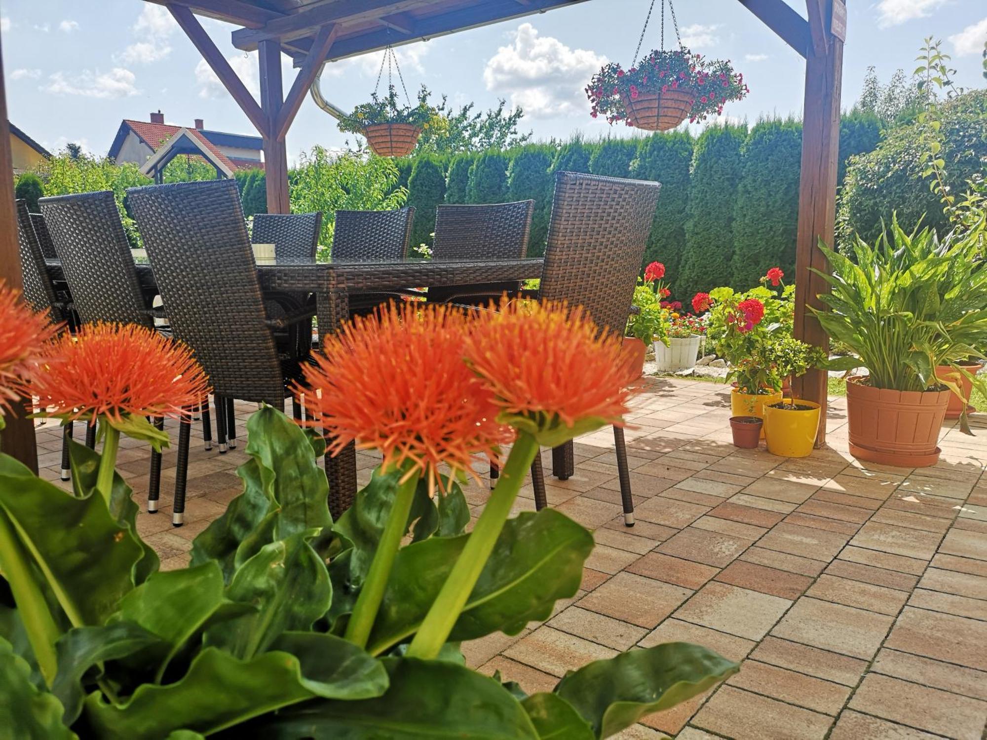 Zsuzsi Vendeghaz Hotel Zalaegerszeg Bagian luar foto